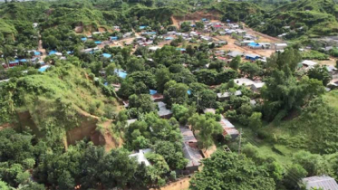 বিপুল পরিমাণ আগ্নেয়াস্ত্র ও গোলাবারুদসহ গ্রেফতার ২২