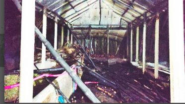 আগুনে ঘর-গবাদি পশু সব পুড়ে সর্বশান্ত সাঁথিয়ার কৃষক মোতেলব