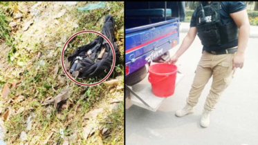 সুপ্রিম কোর্টের প্রবেশগেট থেকে ৬ সাউন্ড গ্রেনেড উদ্ধার